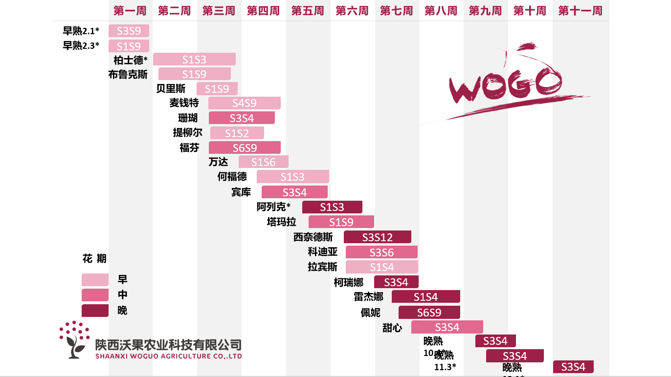 沃果种苗3.png