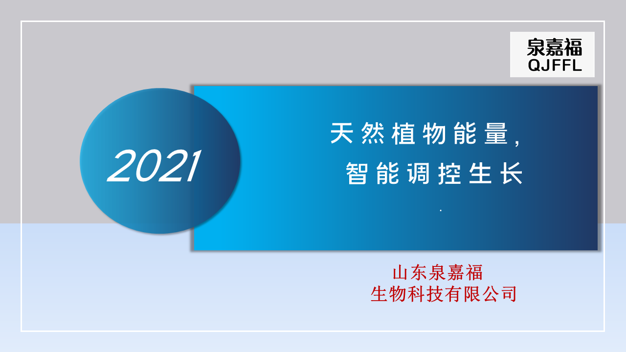 幻灯片1.PNG