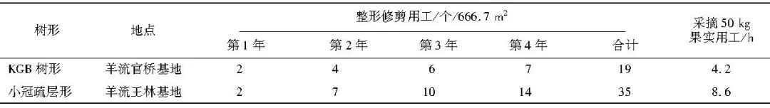 KGB树形9.jpg