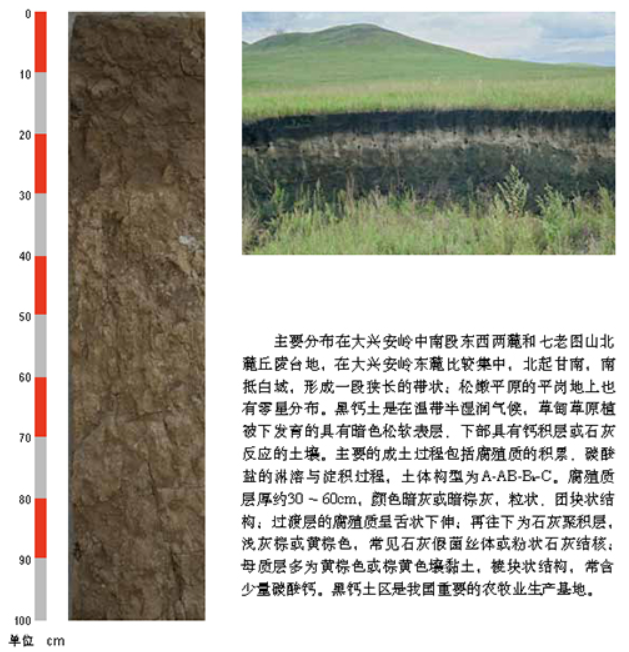 黑钙土.png