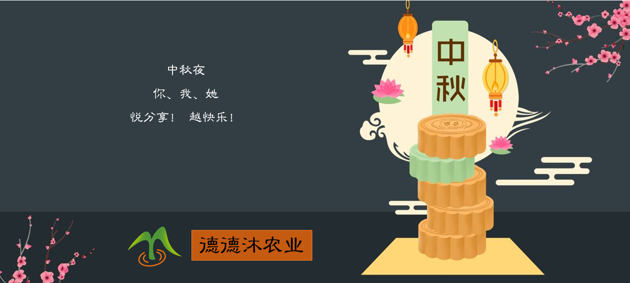 中秋节快乐.png