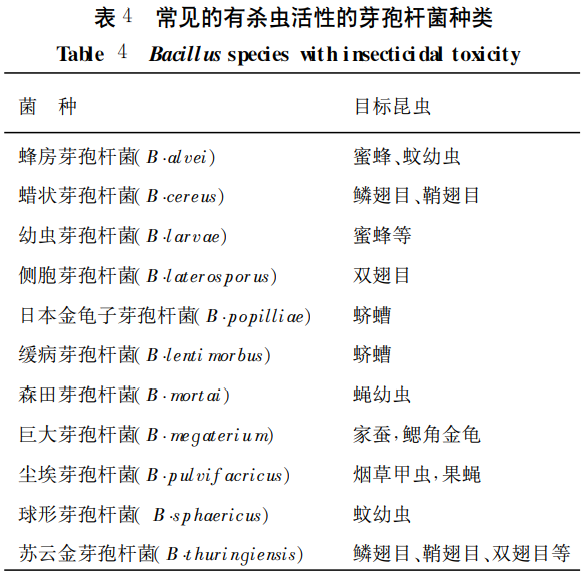 常见的有杀虫活性的芽孢杆菌种类.png