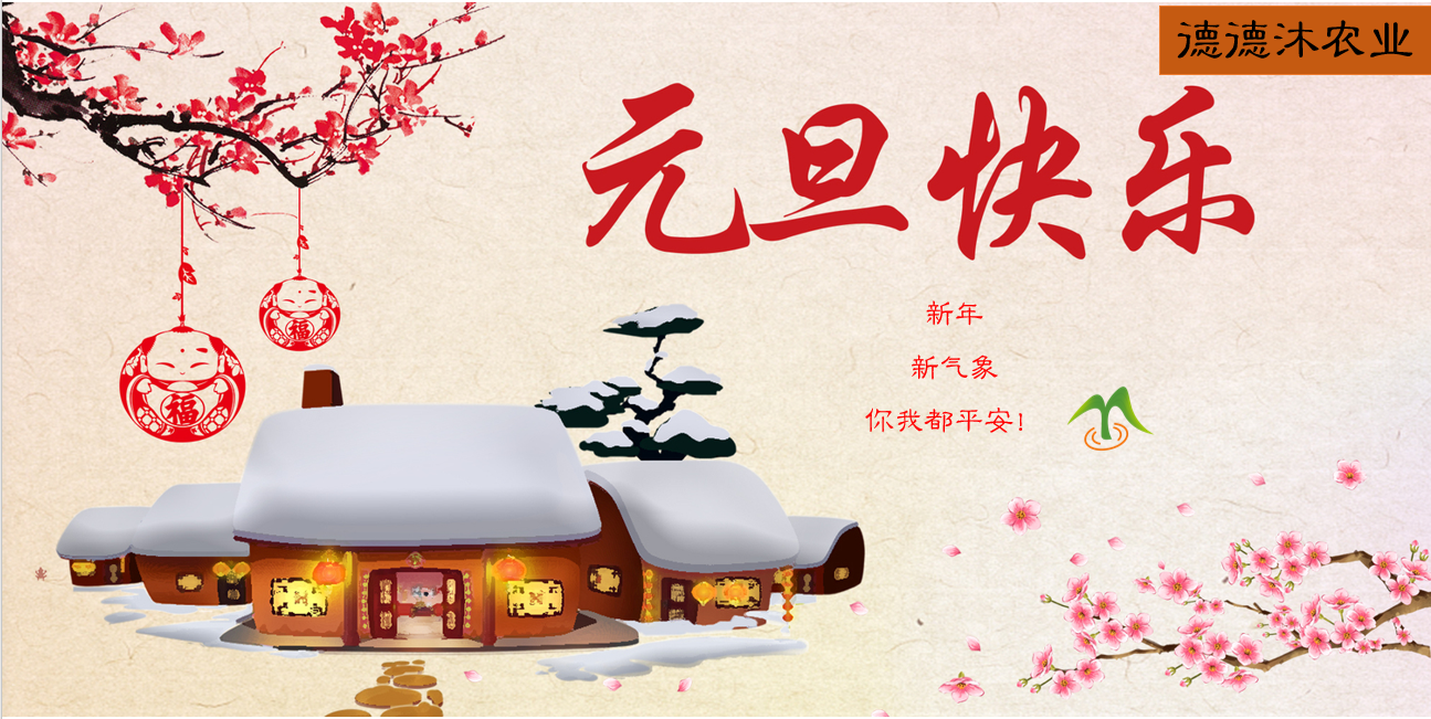 元旦2023.png