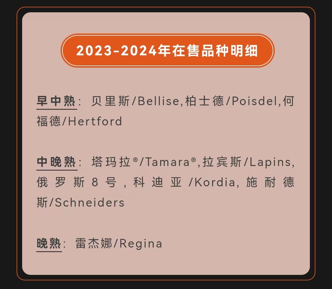 销售明细.jpg