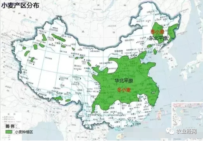 农作物分布划分.png