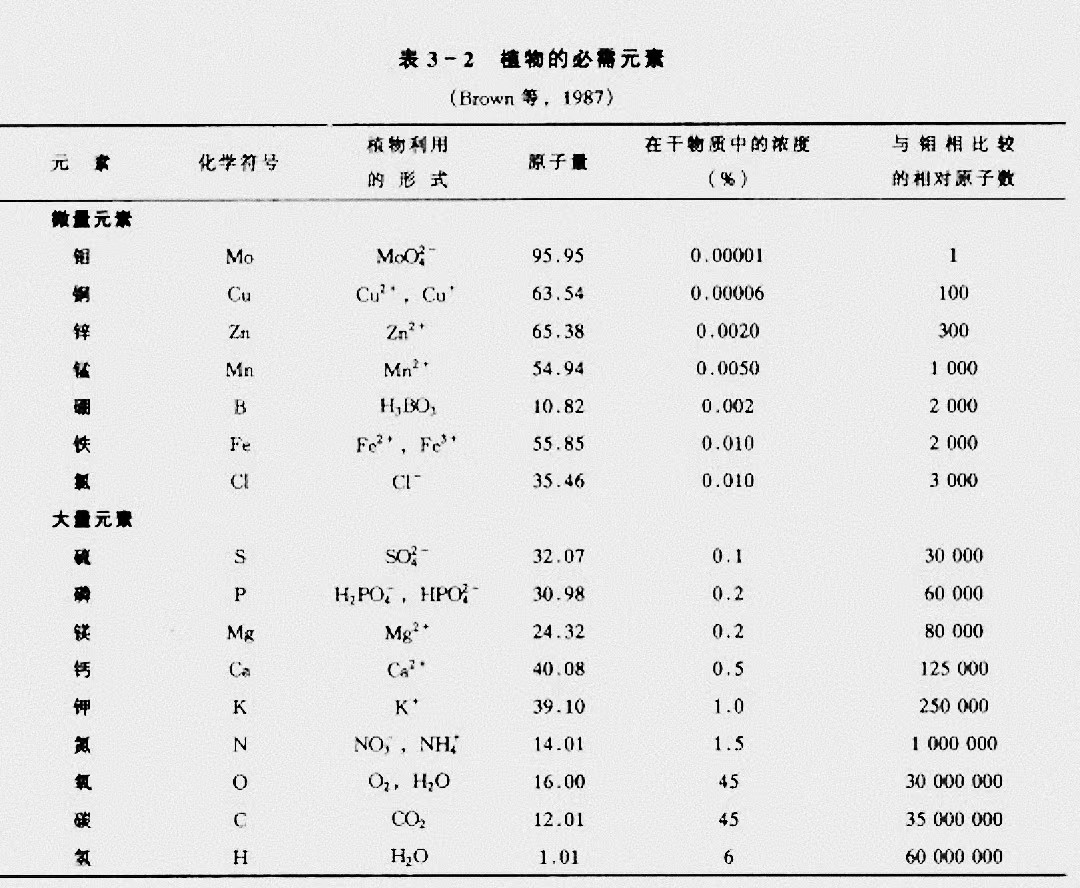 植物必需营养元素含量.jpg
